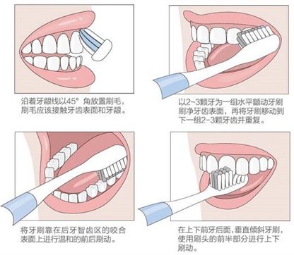 香港官方网站综合资料